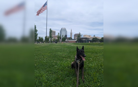 Springfield Police Nab Three Teens with Aid of K9 in Stolen Vehicle Linked to Gun Incident