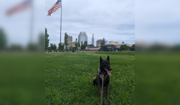 Springfield Police Nab Three Teens with Aid of K9 in Stolen Vehicle Linked to Gun Incident