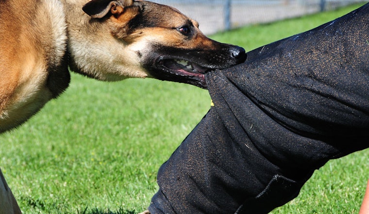 St. Louis Park Hosts Forum to Tackle Rise in Dog Bite Incidents on Rental Properties
