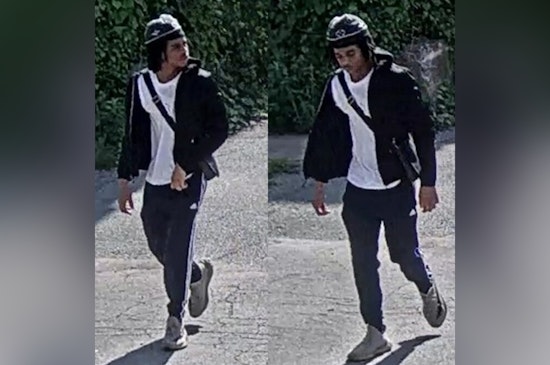 St. Louis Police Seek Public's Help to Locate Armed Suspect in Forest Park Southeast Carjacking