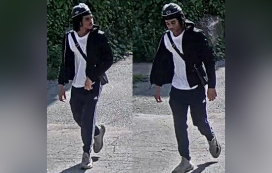 St. Louis Police Seek Public's Help to Locate Armed Suspect in Forest Park Southeast Carjacking