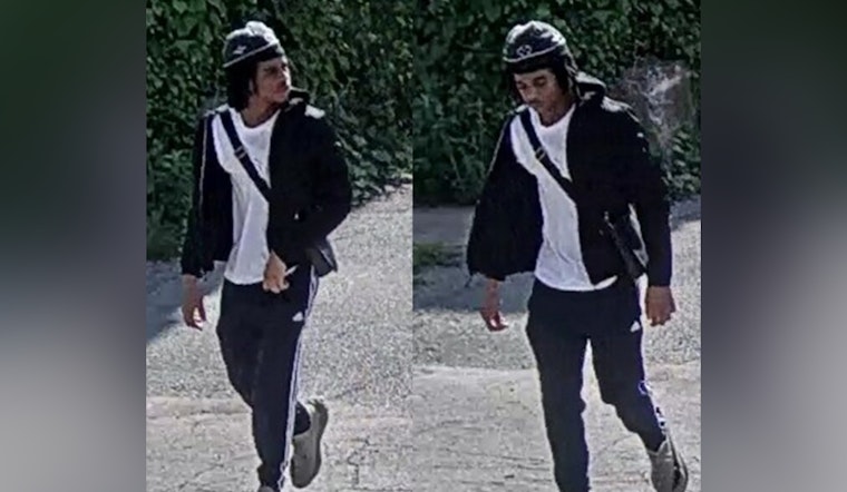 St. Louis Police Seek Public's Help to Locate Armed Suspect in Forest Park Southeast Carjacking