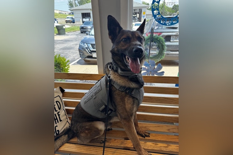 St. Peters Police K9 Audie Charms Community During 'Checkup-Turned-Meet-and-Greet' at Local Vet
