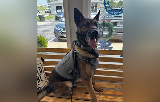 St. Peters Police K9 Audie Charms Community During 'Checkup-Turned-Meet-and-Greet' at Local Vet