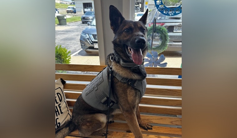 St. Peters Police K9 Audie Charms Community During 'Checkup-Turned-Meet-and-Greet' at Local Vet