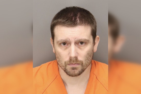 St. Petersburg Man Charged with Child Pornography and Animal Abuse Offenses
