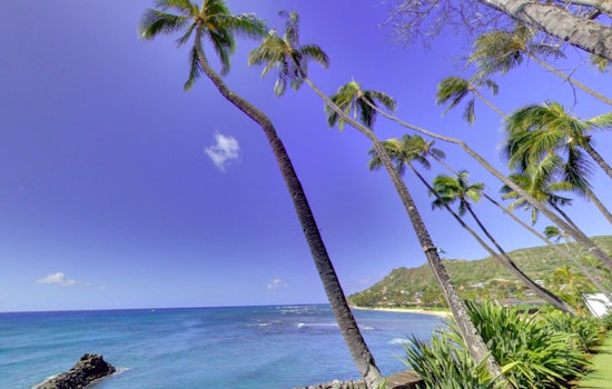 Steady Trade Winds to Persist in Honolulu as Wind Advisory and Small Craft Advisory Remain in Effect