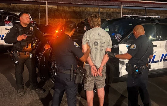 Suspect Arrested for Series of Arson Cases in Oceanside's Loma Alta Area