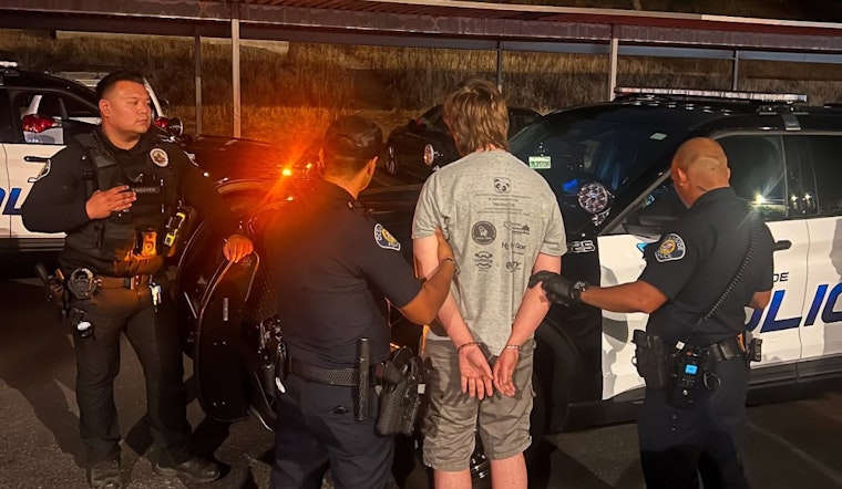 Suspect Arrested for Series of Arson Cases in Oceanside's Loma Alta Area