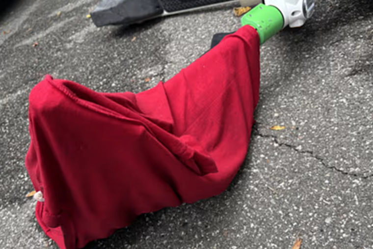 Suspect Charged with Sexual Battery After Woman Attacked on Seminole Wekiva Trail