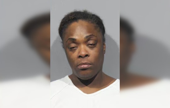 Suspect in Washtenaw County Foster Family Murder Appears in Court, Seeks New Attorney