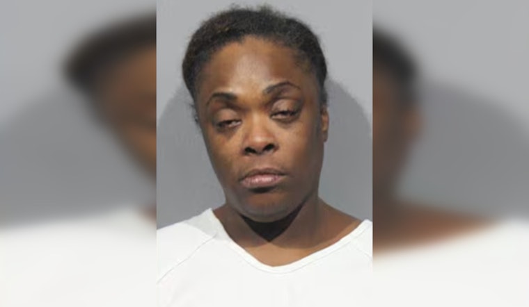 Suspect in Washtenaw County Foster Family Murder Appears in Court, Seeks New Attorney