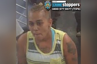 Suspect Sought in Bronx Train Slashing Incident as NYPD Seeks Public's Aid