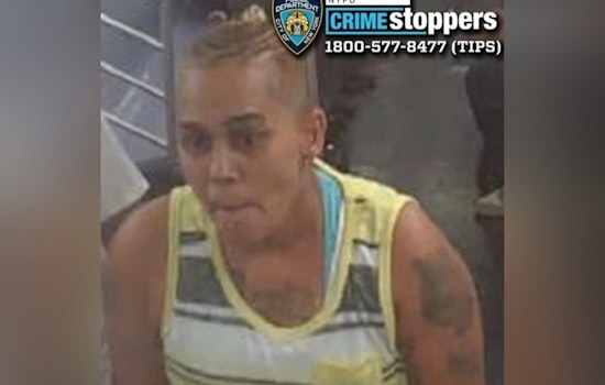 Suspect Sought in Bronx Train Slashing Incident as NYPD Seeks Public's Aid