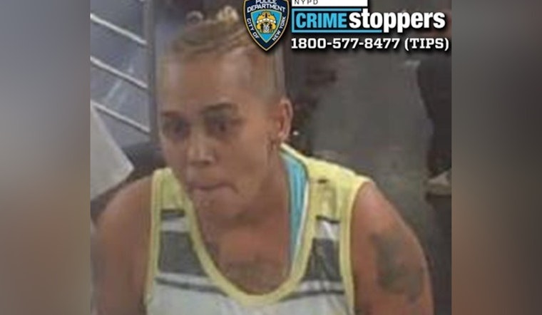 Suspect Sought in Bronx Train Slashing Incident as NYPD Seeks Public's Aid
