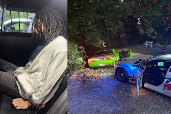 Suspected Car Thief Nabbed by K9 After Chase Ends in Spring Area Ditch