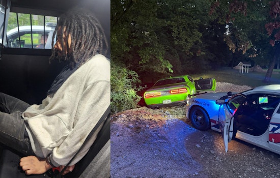Suspected Car Thief Nabbed by K9 After Chase Ends in Spring Area Ditch