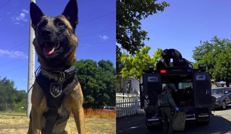 SWAT Team and K9 Unit Apprehend Suspect After Standoff in East Sacramento County
