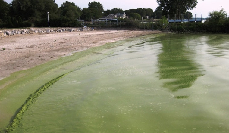 Swim Advisory Persists in Lake Wylie's Boyd's and Snug Harbor Coves Due to Algae Blooms