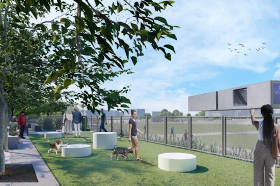 Tampa to Unleash New Dog Parks at Curtis Hixon Waterfront Park Amidst City Enhancements