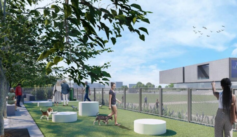Tampa to Unleash New Dog Parks at Curtis Hixon Waterfront Park Amidst City Enhancements