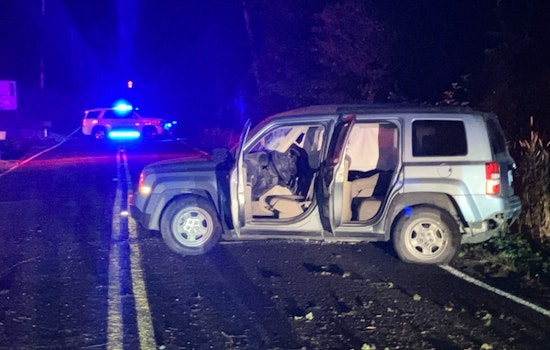 Teen Passenger Dies, Driver Injured in Late-Night Clark County Crash