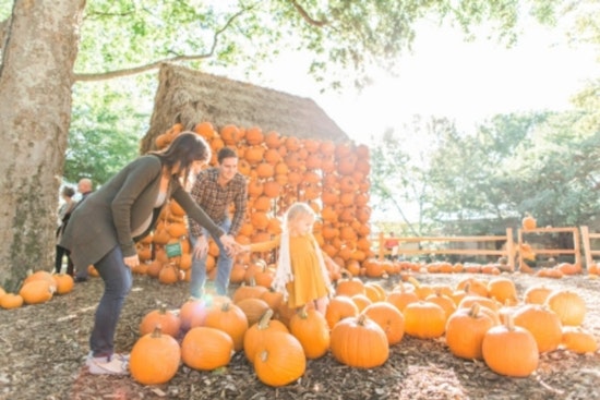 Tennessee Embraces Autumn Splendor with Statewide Fall Festivities and Cultural Events