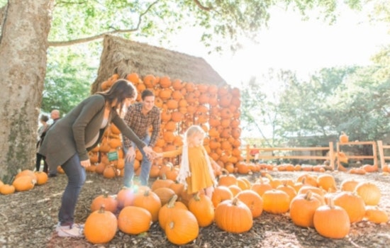 Tennessee Embraces Autumn Splendor with Statewide Fall Festivities and Cultural Events