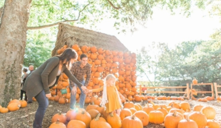 Tennessee Embraces Autumn Splendor with Statewide Fall Festivities and Cultural Events