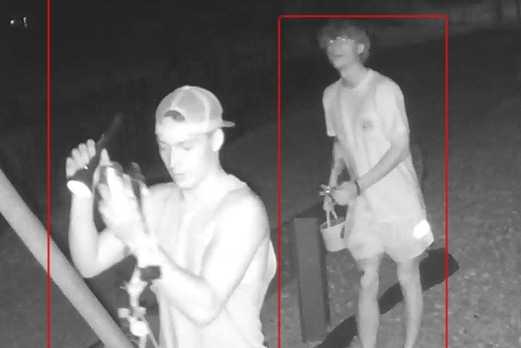 Tennessee Wildlife Resources Agency Investigates Vandalism at Reelfoot Spillway, Public's Help Sought