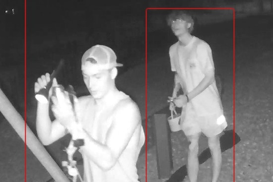 Tennessee Wildlife Resources Agency Investigates Vandalism at Reelfoot Spillway, Public's Help Sought