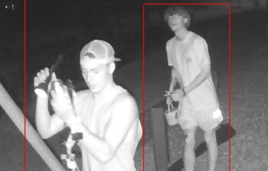 Tennessee Wildlife Resources Agency Investigates Vandalism at Reelfoot Spillway, Public's Help Sought