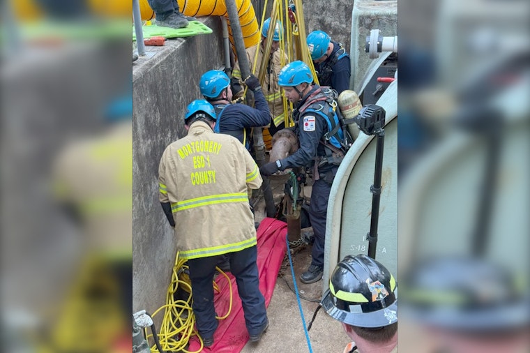 Three Workers Fatally Overcome by Gas Leak During Sewer Repairs in Trinity County