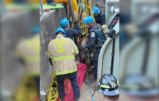 Three Workers Fatally Overcome by Gas Leak During Sewer Repairs in Trinity County