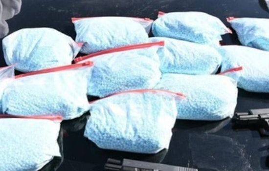 Trump's Guard Grab Slashes LA Fentanyl Seizures by 57%, Sparks Economic Fear in California