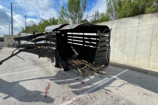 Two Arrested in San Antonio for Abandoning Injured Horse, Face Animal Cruelty and Other Charges