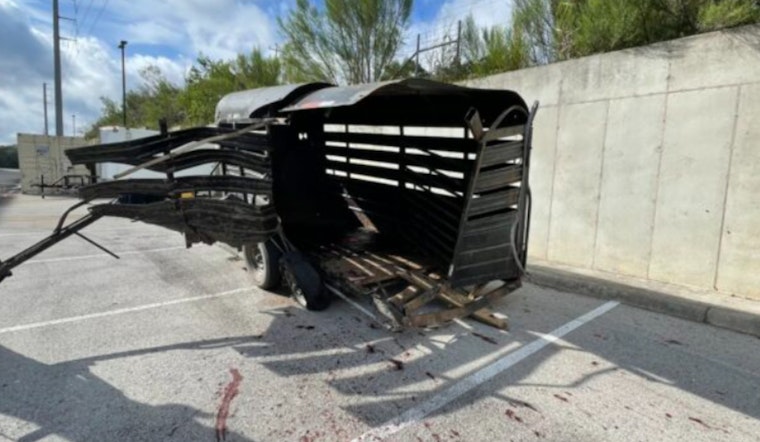 Two Arrested in San Antonio for Abandoning Injured Horse, Face Animal Cruelty and Other Charges