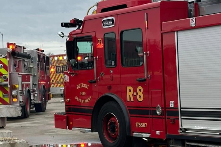 Two Fatal House Fires on Detroit's West Side Claim Lives and Pets