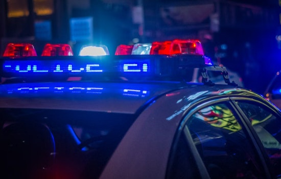 Two Teens Arrested for Grand Theft Auto in Fort Lauderdale After Police Chase Ends in Officers' Injury