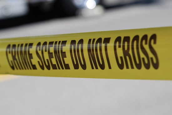 Two Young Men Killed in Multi-Vehicle Collision on Bronx River Parkway Near Gun Hill Road