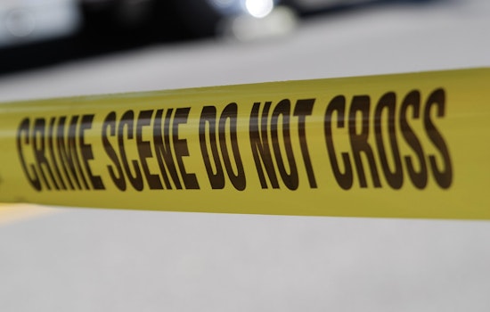 Two Young Men Killed in Multi-Vehicle Collision on Bronx River Parkway Near Gun Hill Road