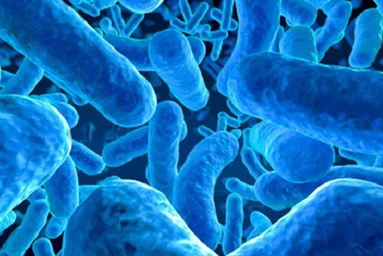 University of Cincinnati Expert Warns Cancer Patients: Probiotics May Disrupt Treatment Outcomes
