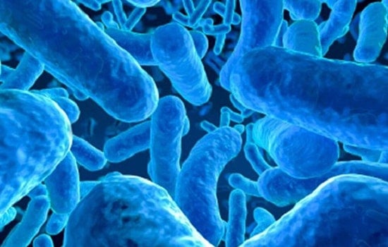 University of Cincinnati Expert Warns Cancer Patients: Probiotics May Disrupt Treatment Outcomes