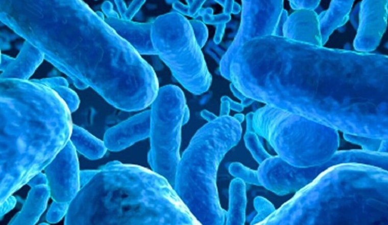 University of Cincinnati Expert Warns Cancer Patients: Probiotics May Disrupt Treatment Outcomes