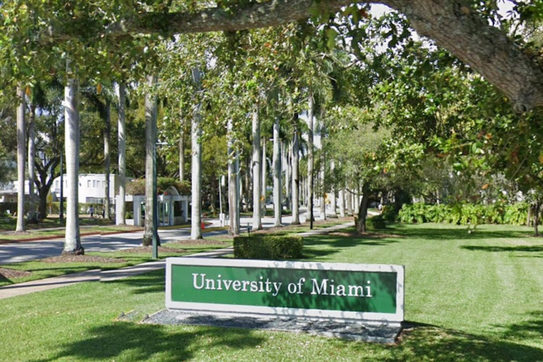 University of Miami Investigates Alleged Mistreatment of Beloved Campus Duck "Ivan"