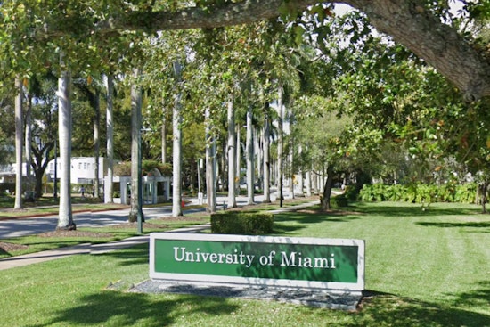 University of Miami Investigates Alleged Mistreatment of Beloved Campus Duck "Ivan"