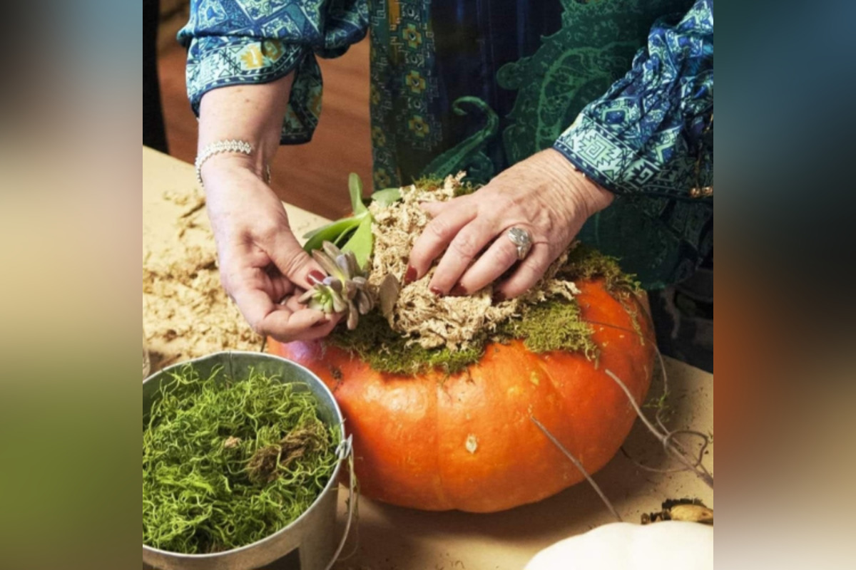 Unleash Your Creativity as Boerne Offers Array of Fall-Themed Craft