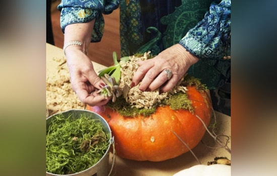 Unleash Your Creativity as Boerne Offers Array of Fall-Themed Craft Workshops