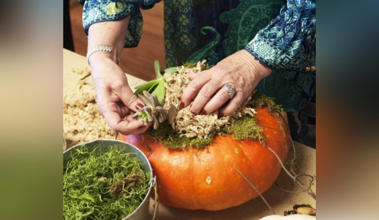 Unleash Your Creativity as Boerne Offers Array of Fall-Themed Craft Workshops