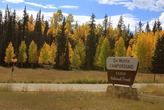U.S. Forest Service Deploys BAER Team for Post-Fire Analysis in Kaibab National Forest